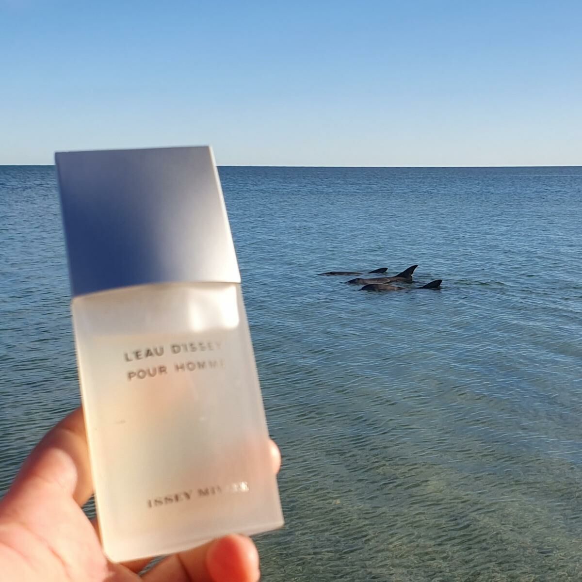 L'Eau d'Issey Pour Homme